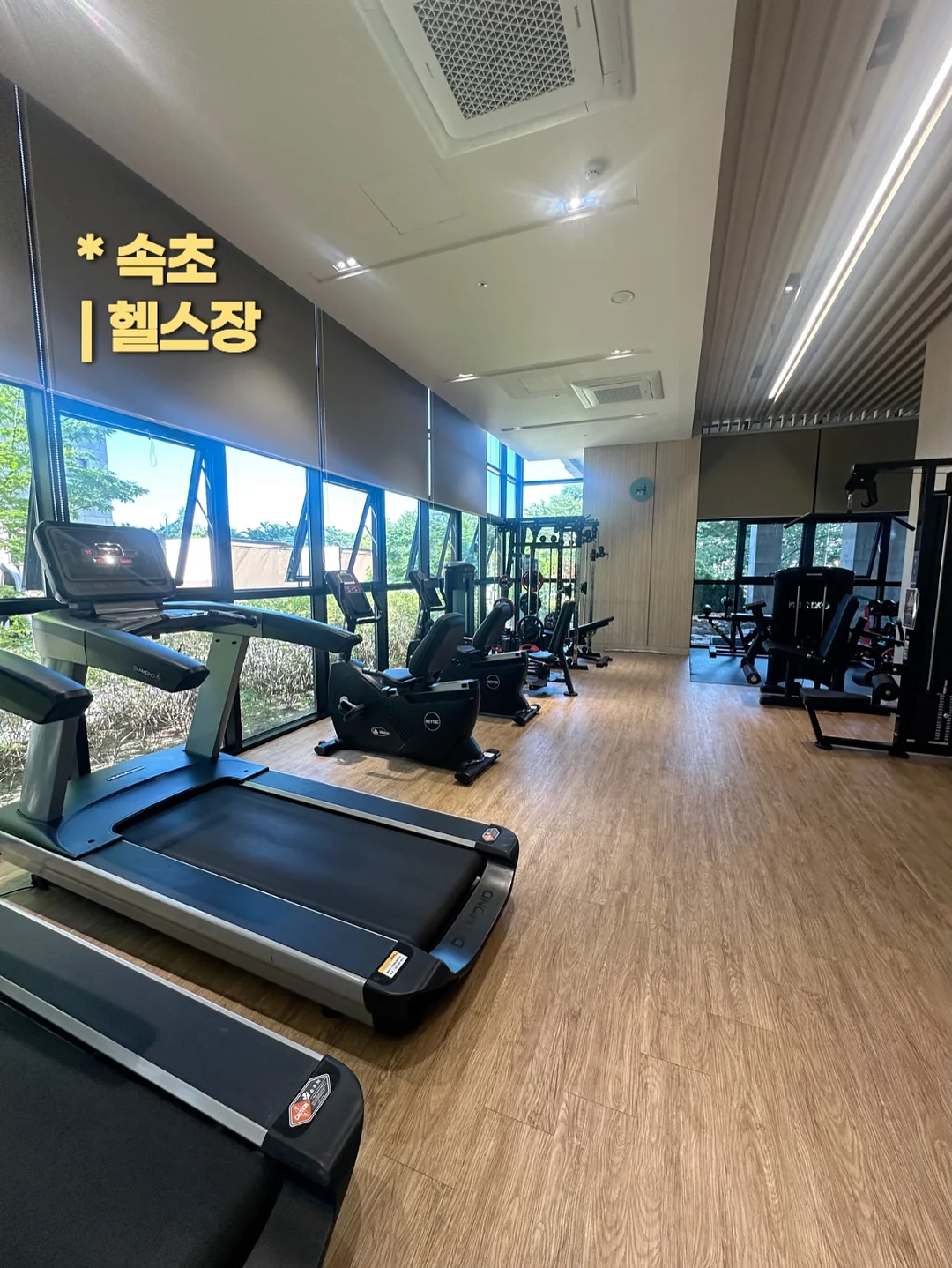 유럽 미술관 도장깨기 10박 12일 14