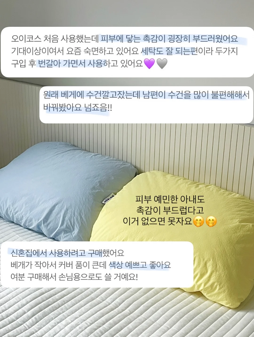 동전육수 8