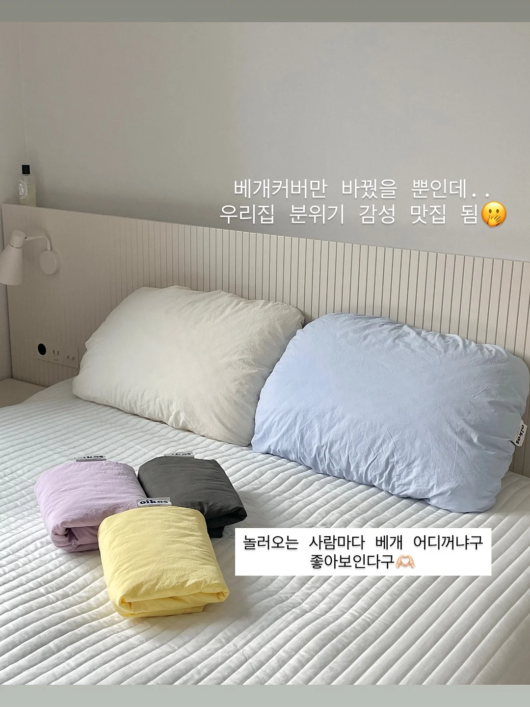 동전육수 9
