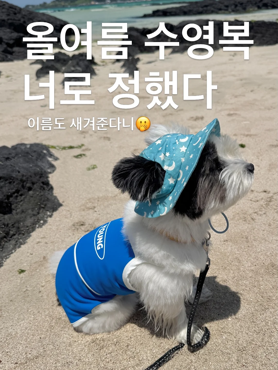 카본 삼각대 1