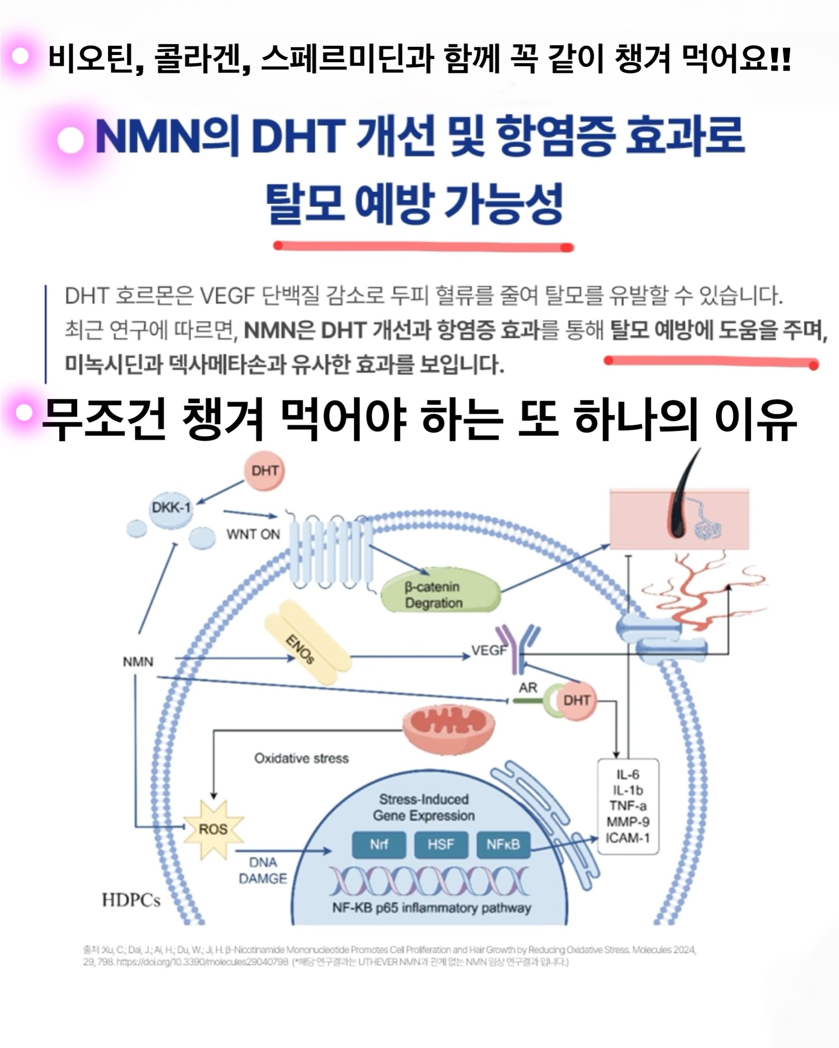 오뜨베베 나시고쟁이상하세트 4