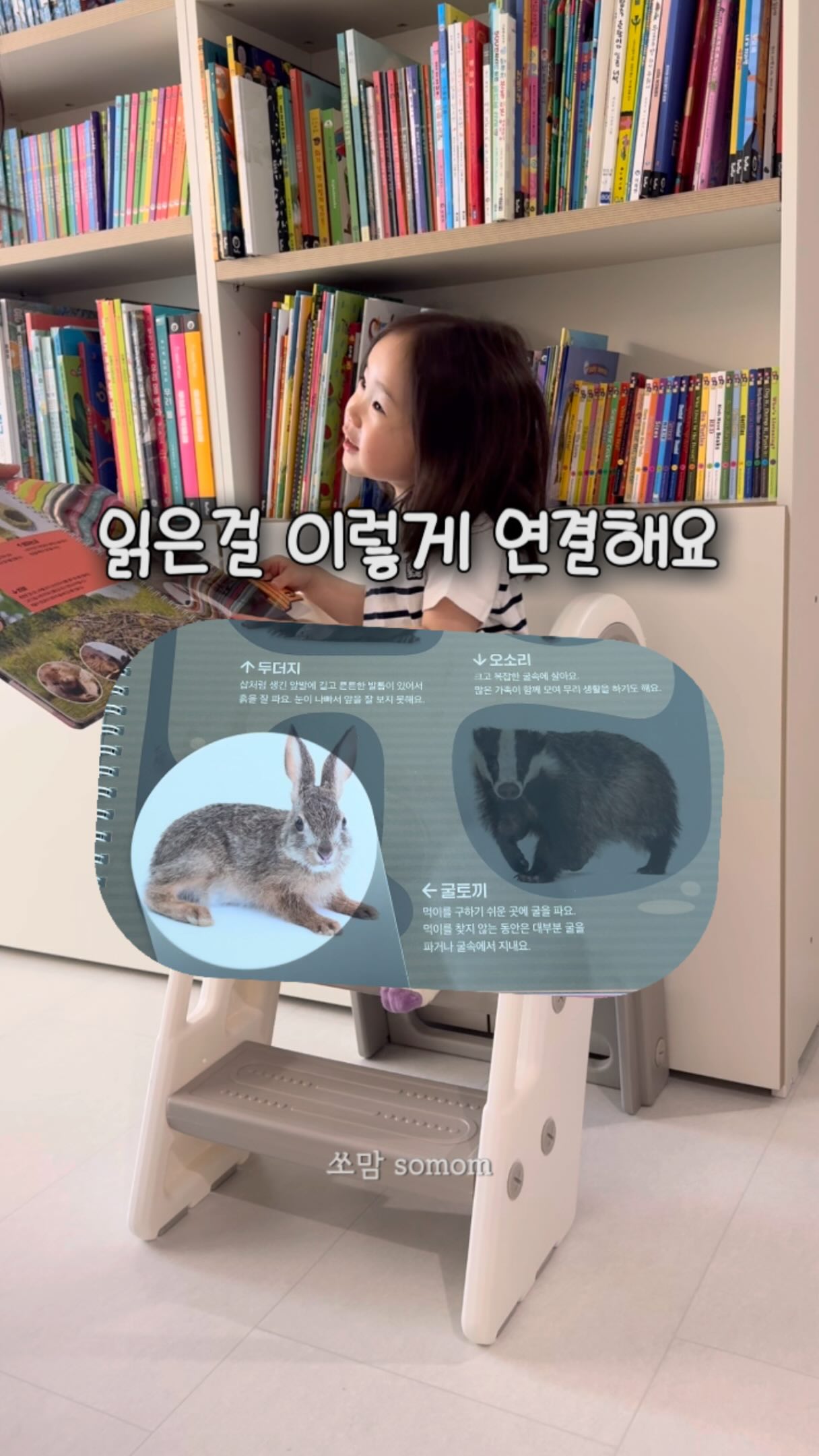 휴대용 치실 디스펜서