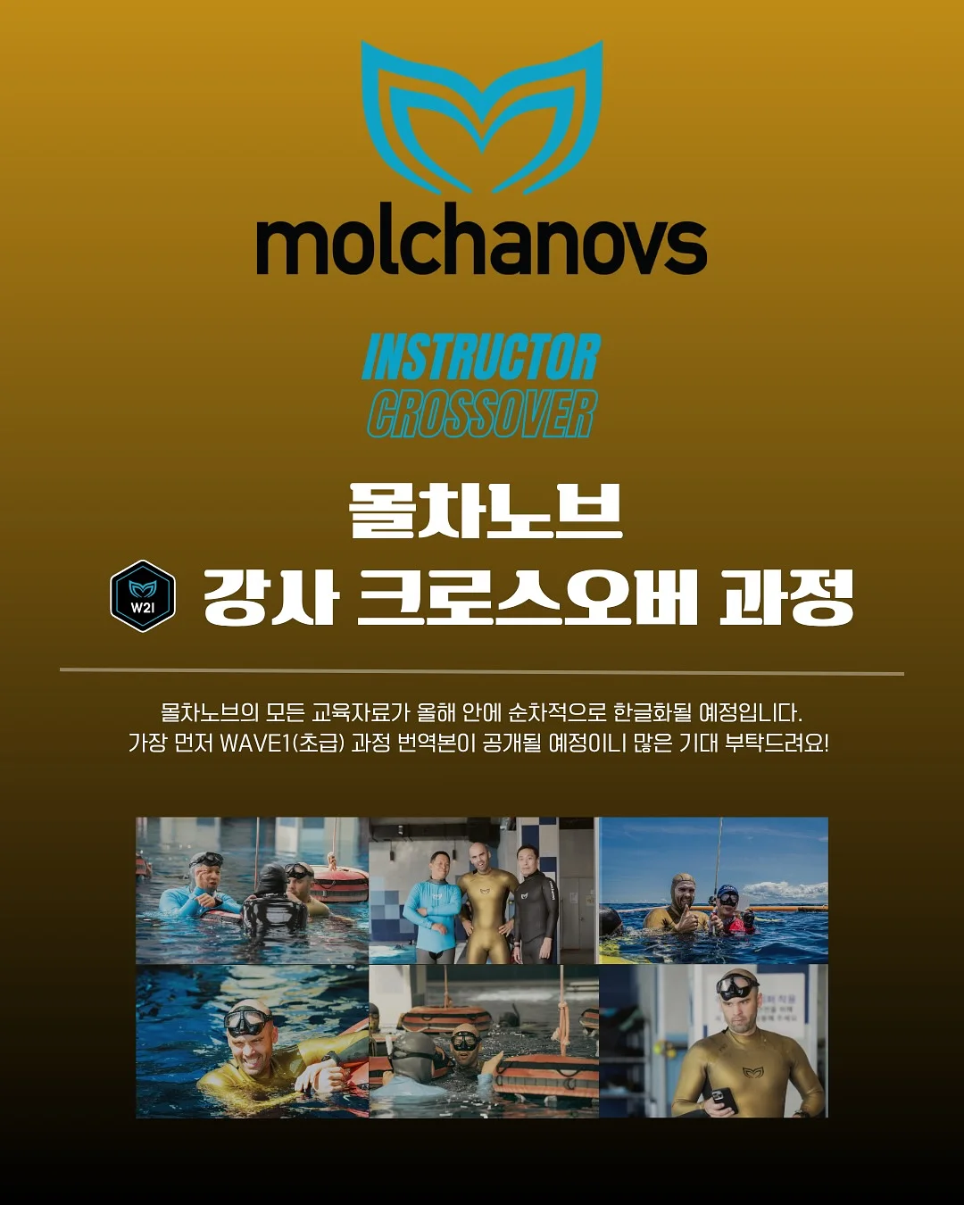 비타민C 1