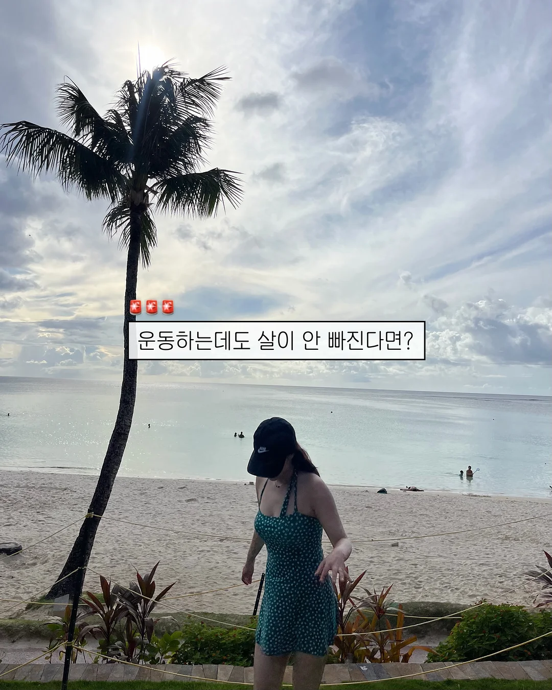 매실청 1