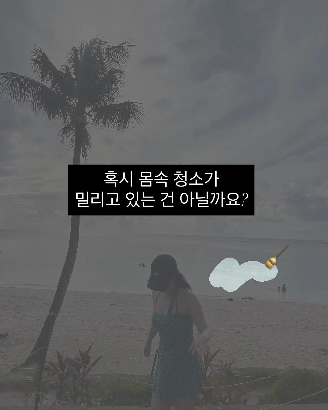 매실청 2