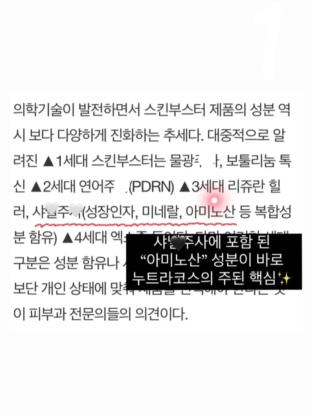 픽시카 패치겔 11