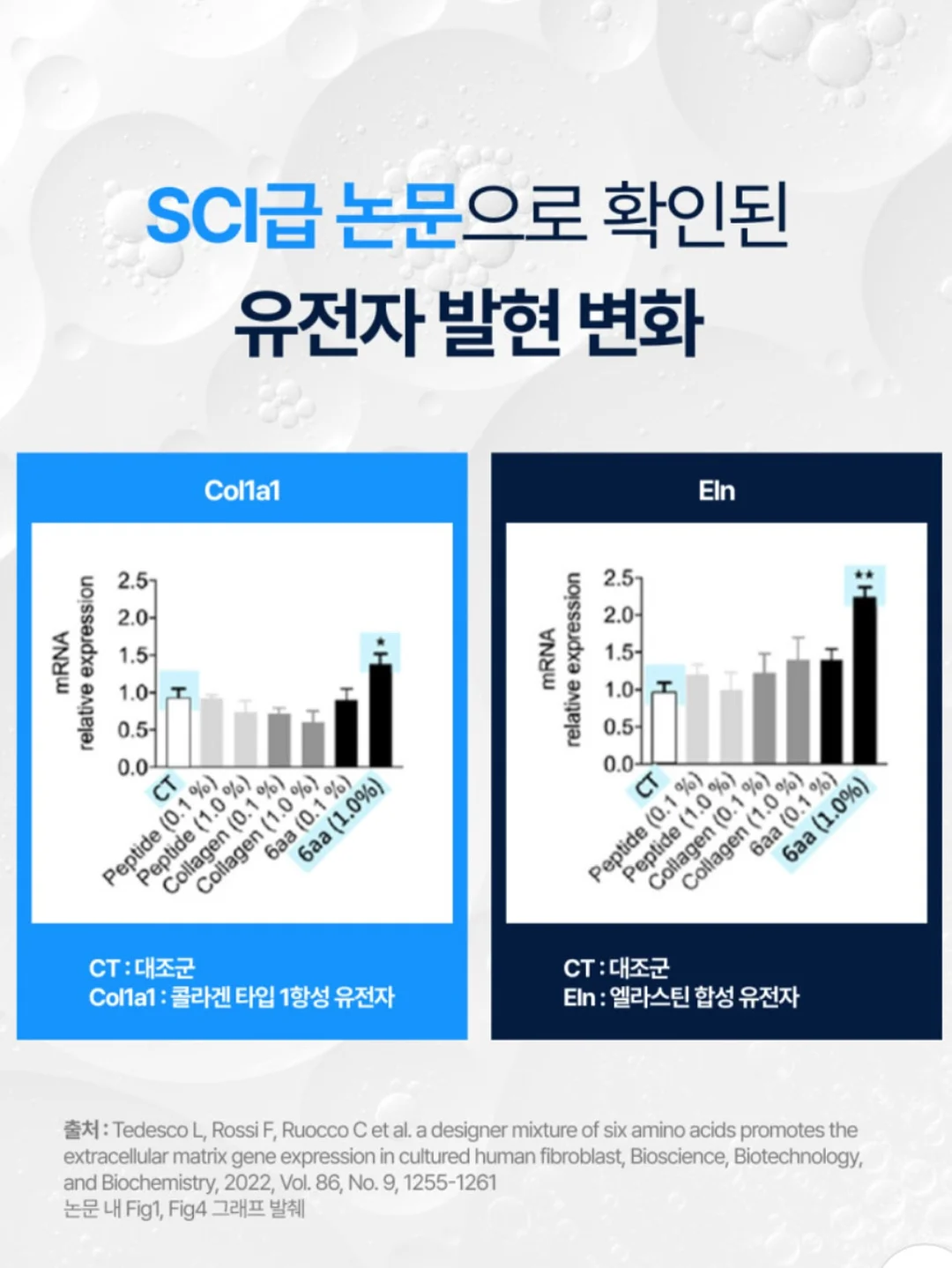픽시카 패치겔 16