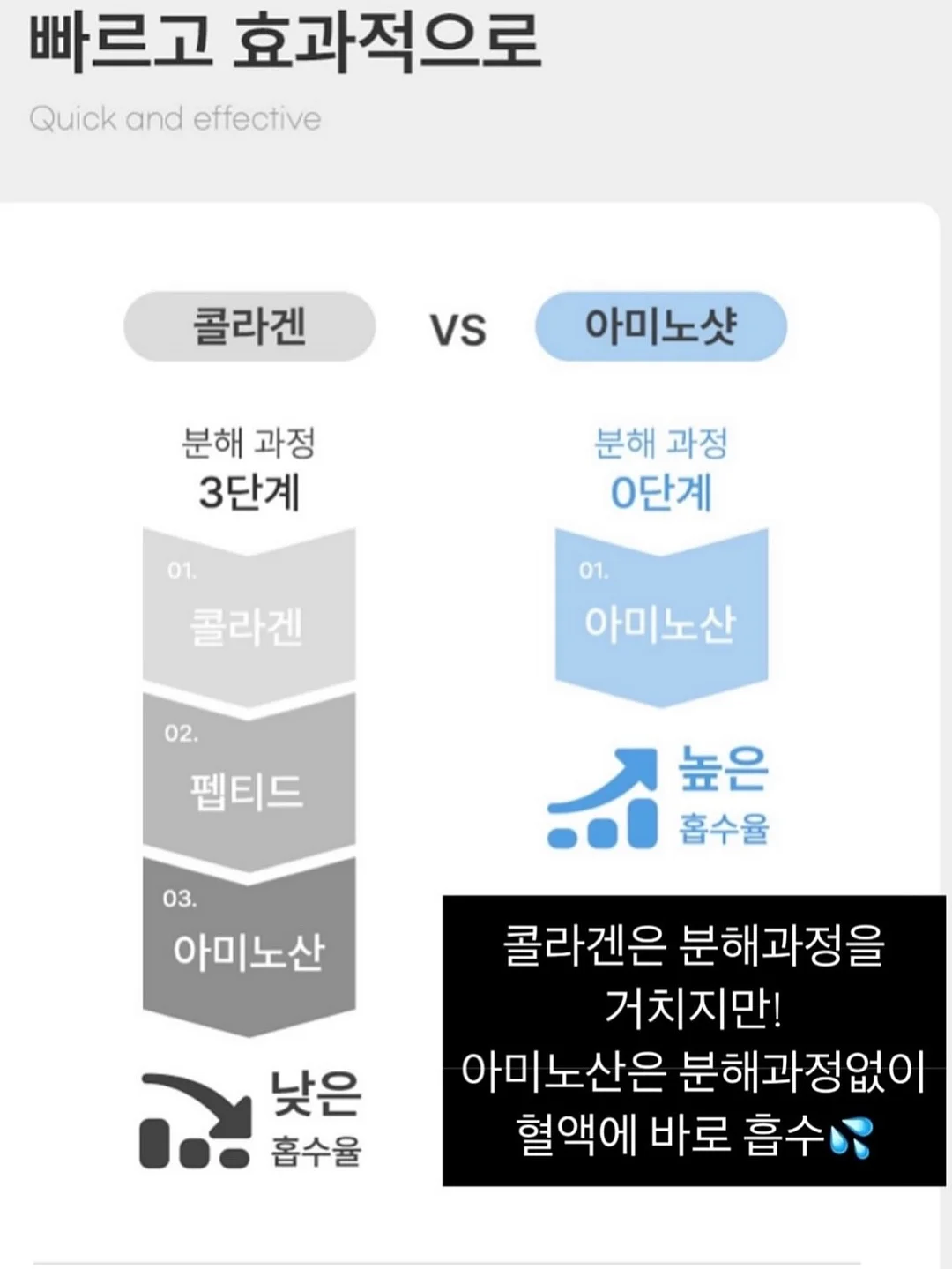 픽시카 패치겔 9