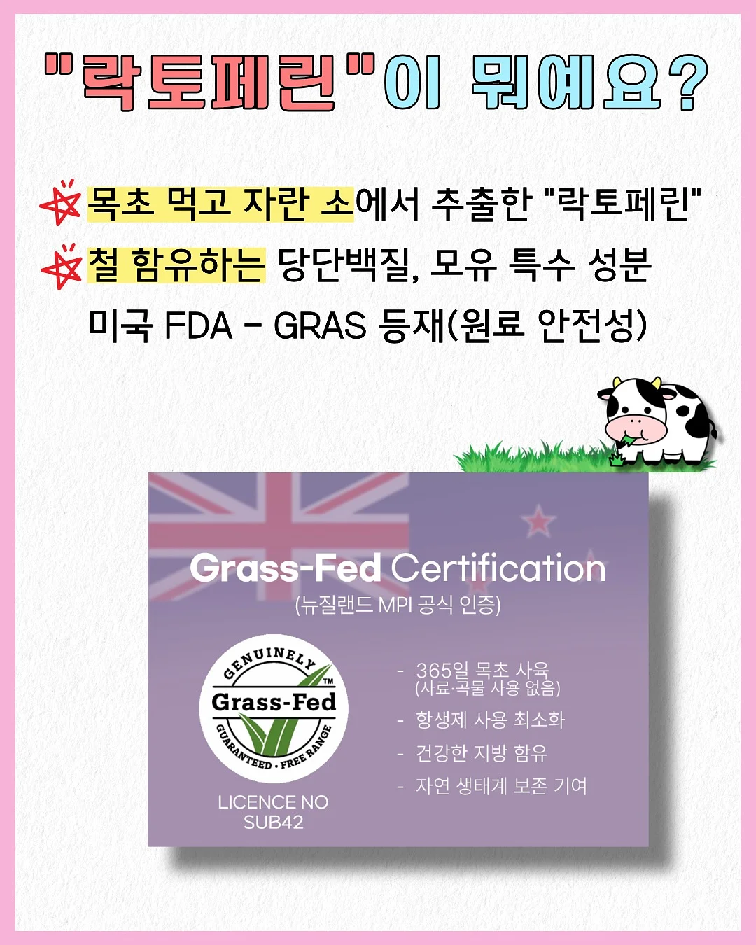 누릉지, 제주총각무 6