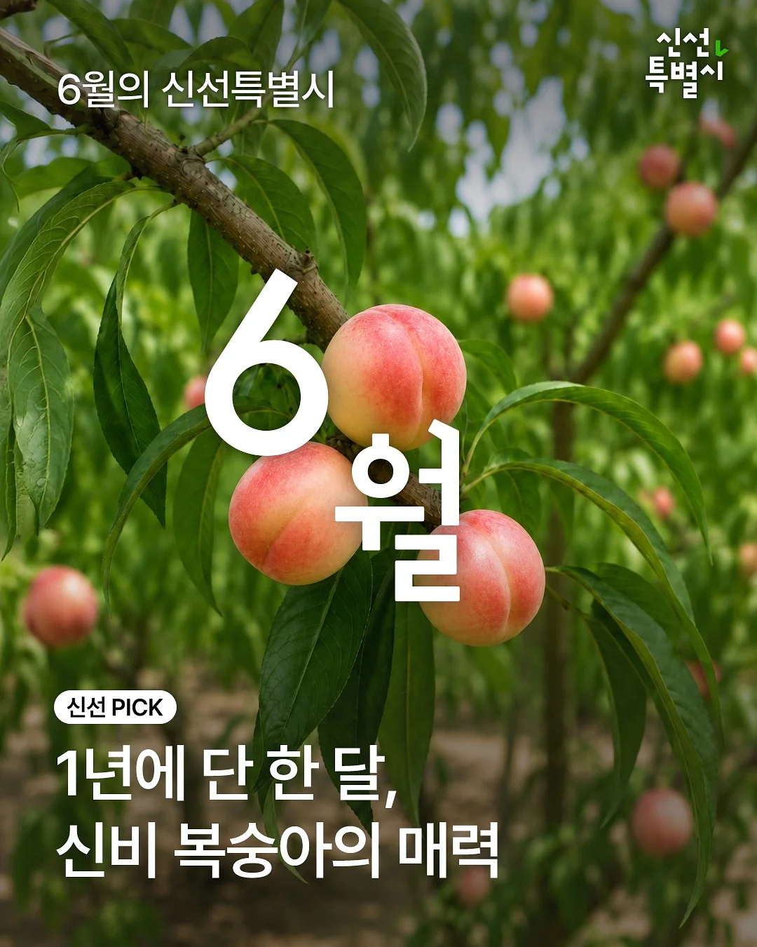 주식 투자 방법 1
