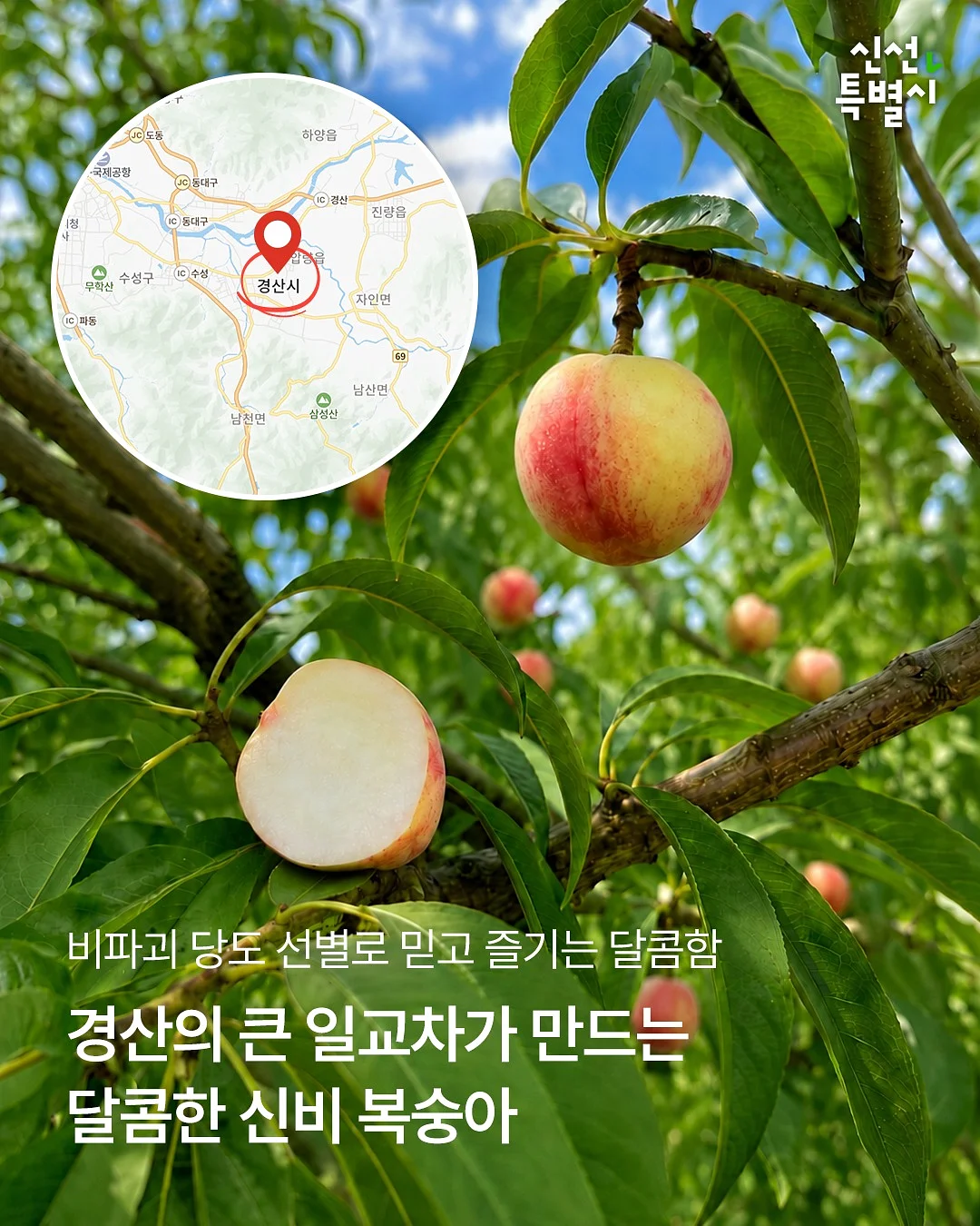 주식 투자 방법 3