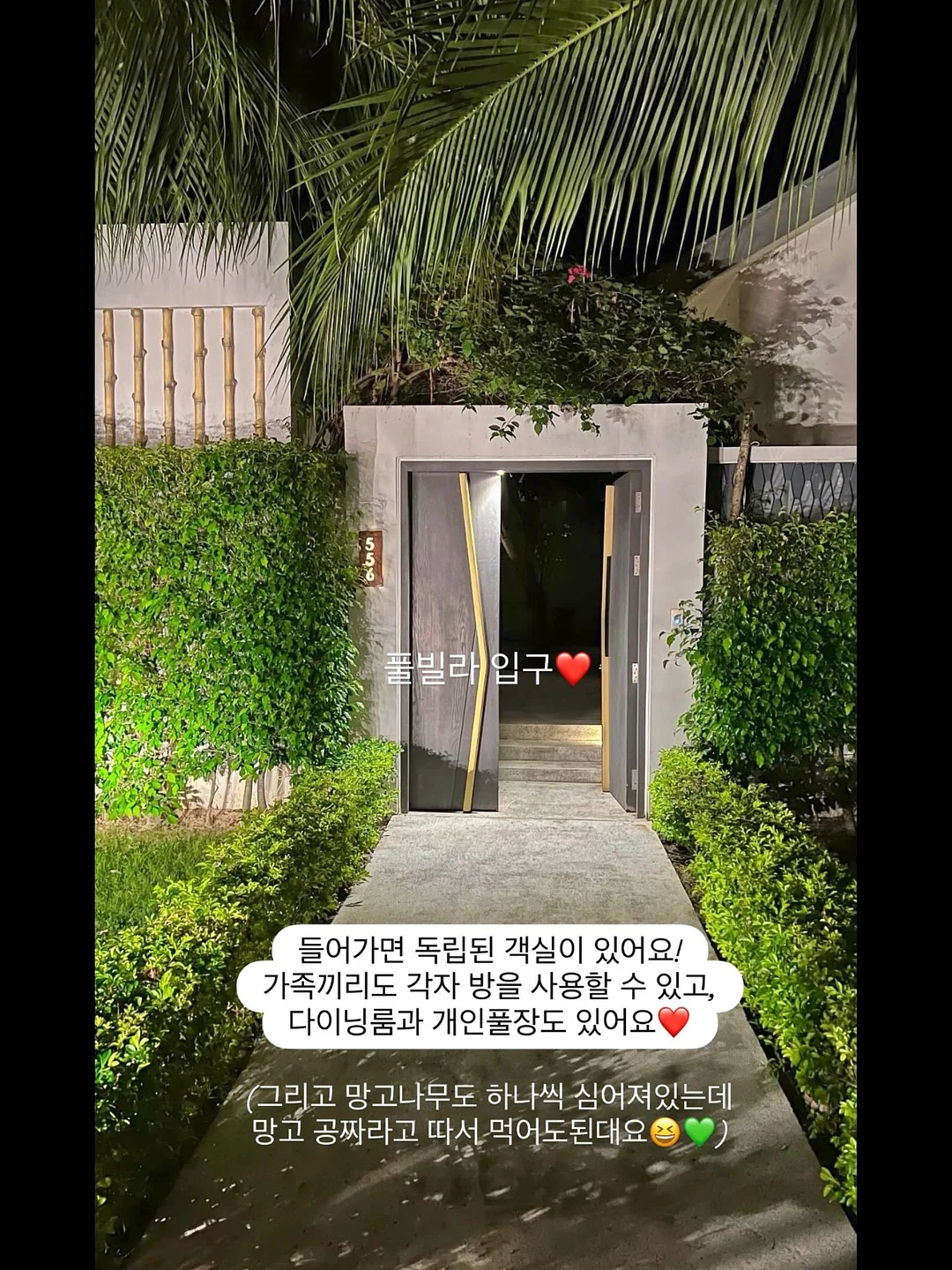 뉴욕티 8
