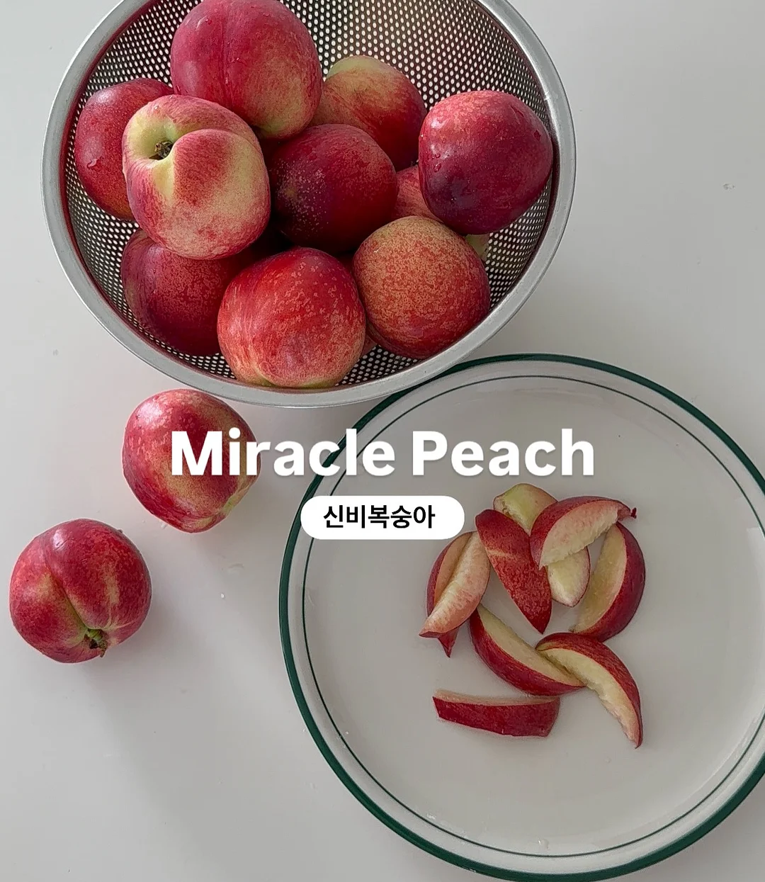 뉴트리원 영양제 1