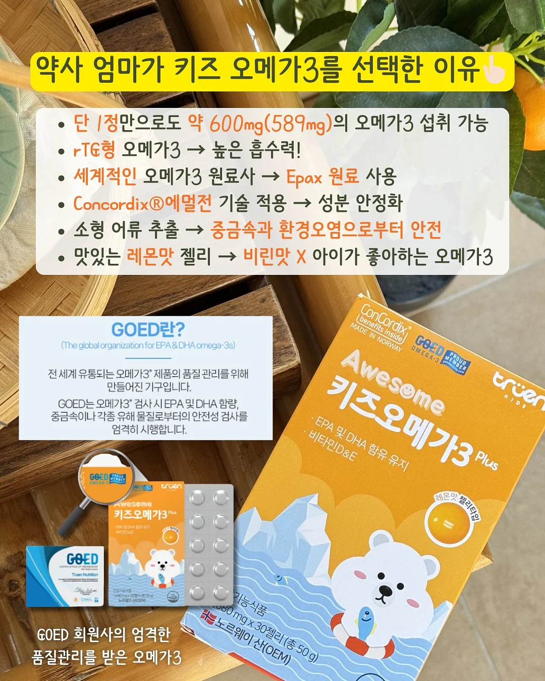 더스트백 리폼 프레임 5