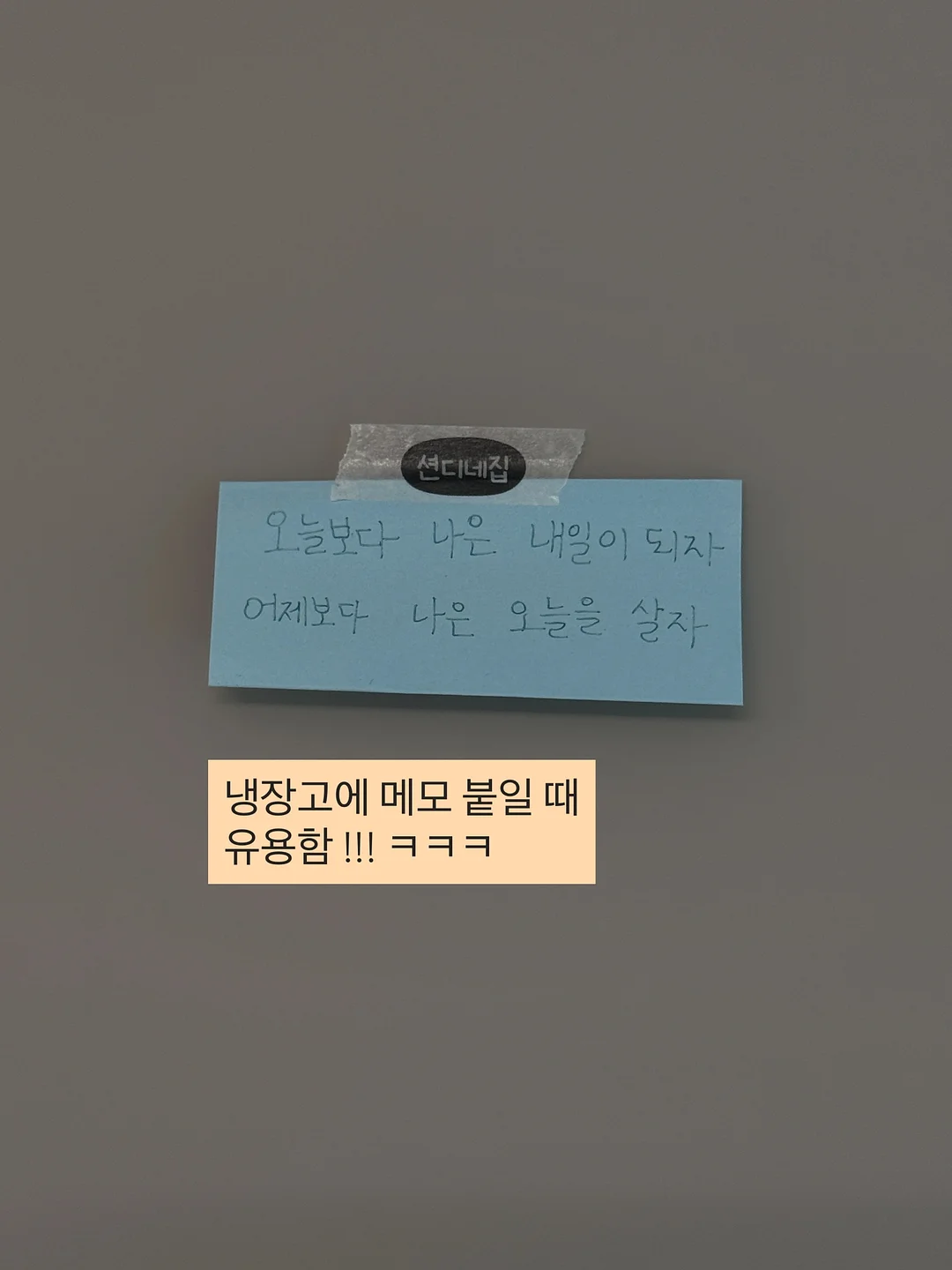 허쉬글로우 컬러블록 솝케이스 10