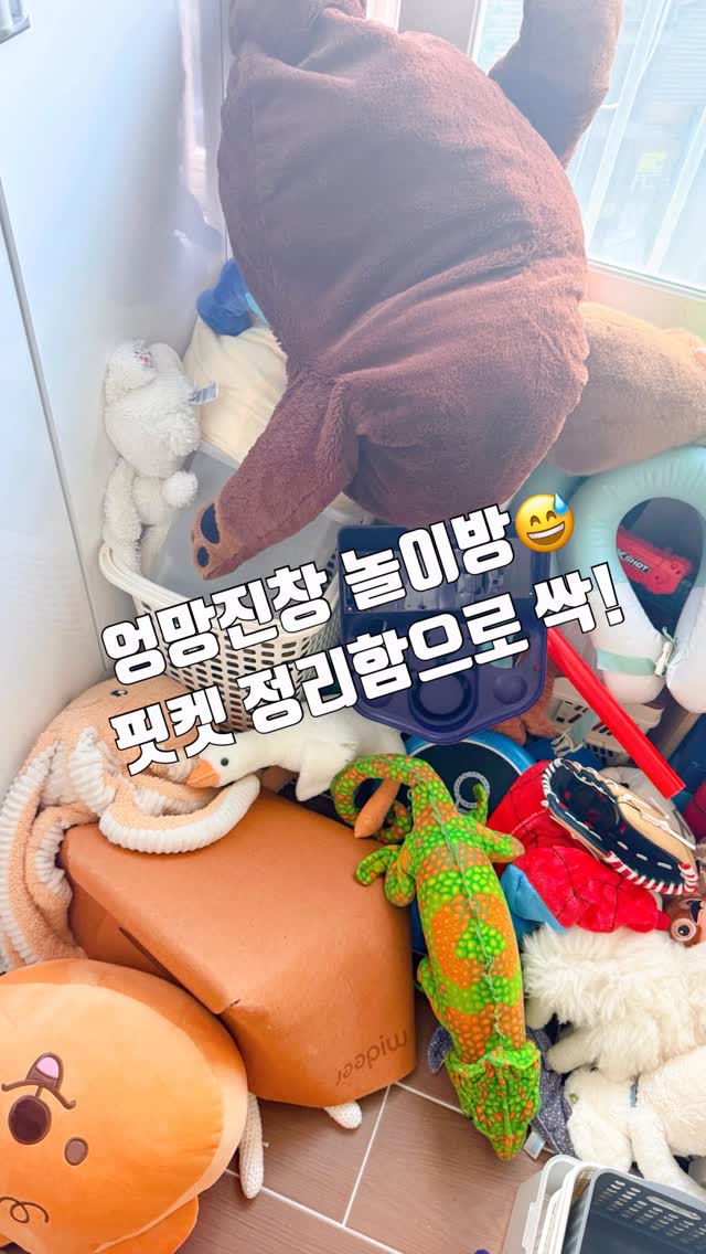 중등 과학 생명과학 온라인 클래스