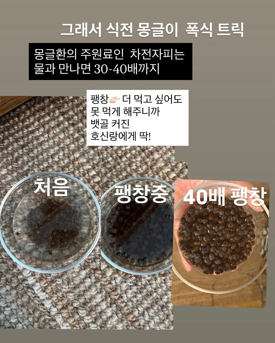 보자기 바스켓 M 5