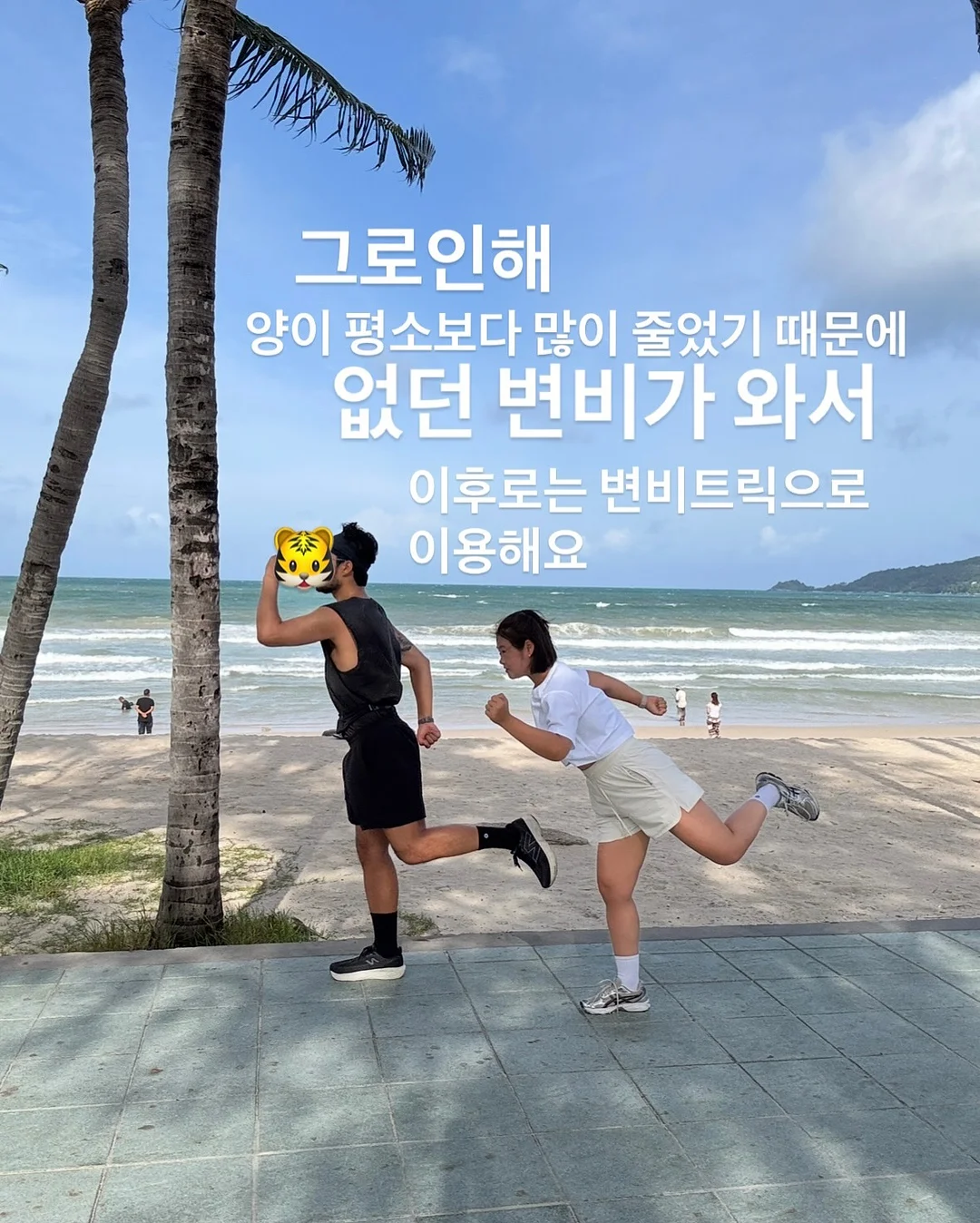 보자기 바스켓 M 6