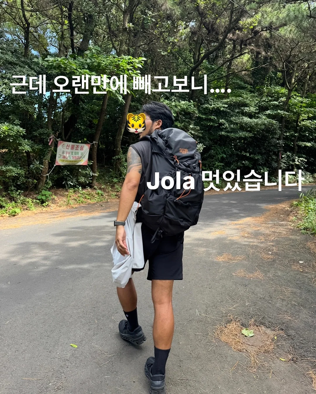 보자기 바스켓 M 8