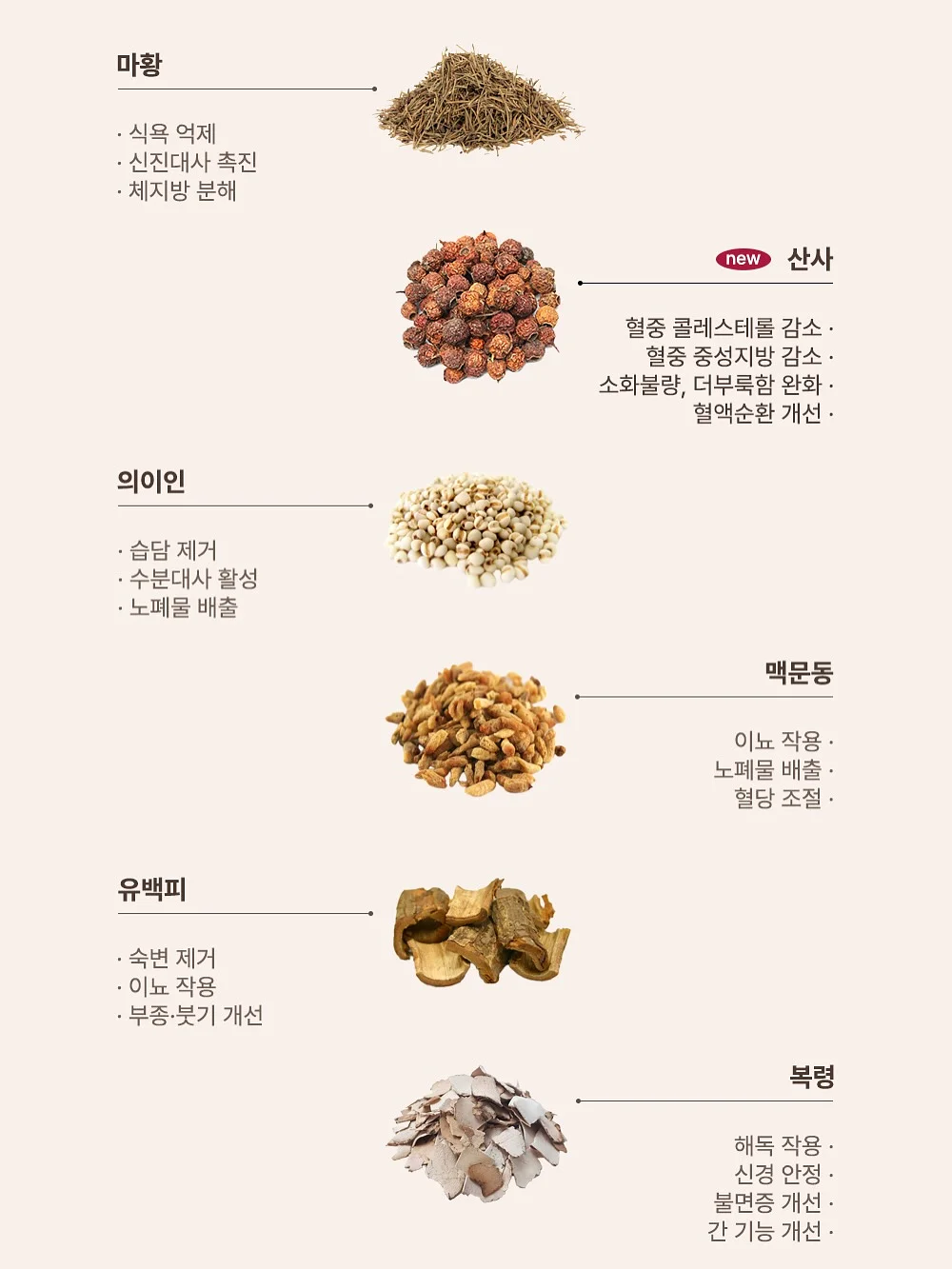 썬그리 16