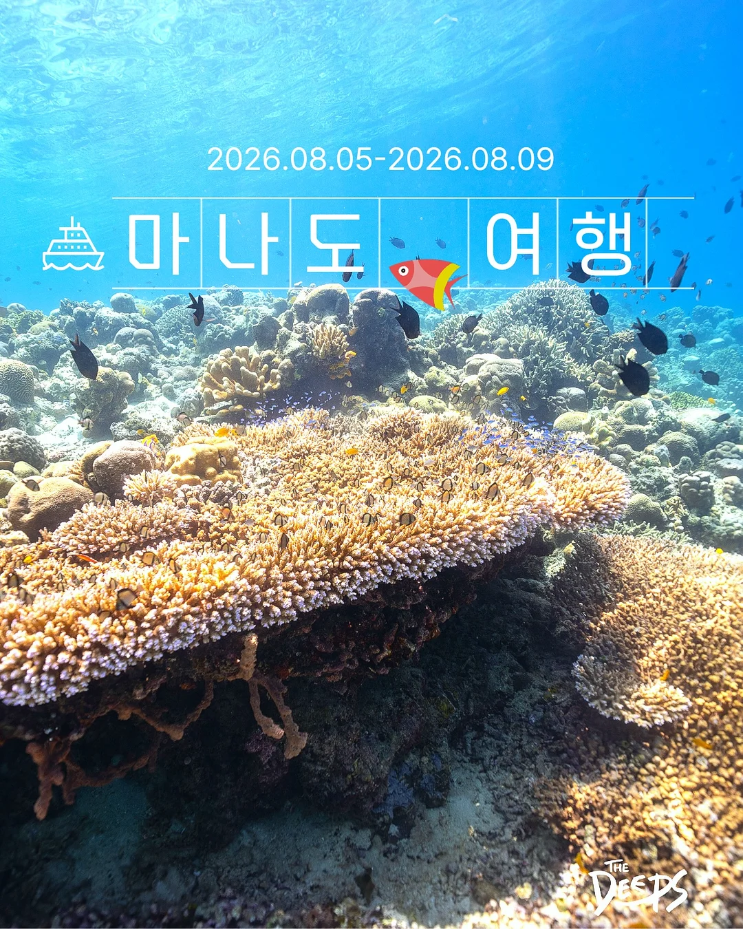 베베페페 고고슈즈 사이즈체크 체험팩