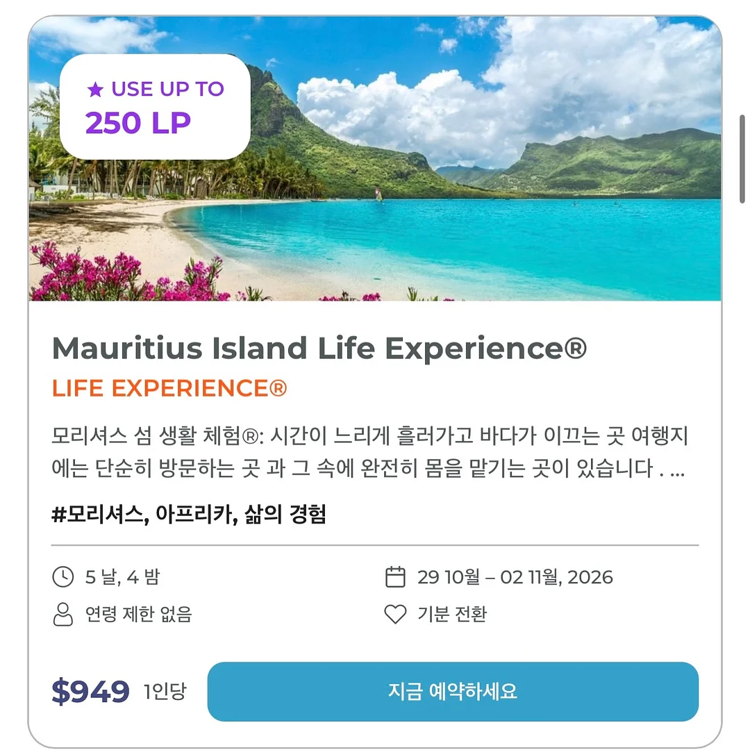 쫀쫀 나시 세트 2