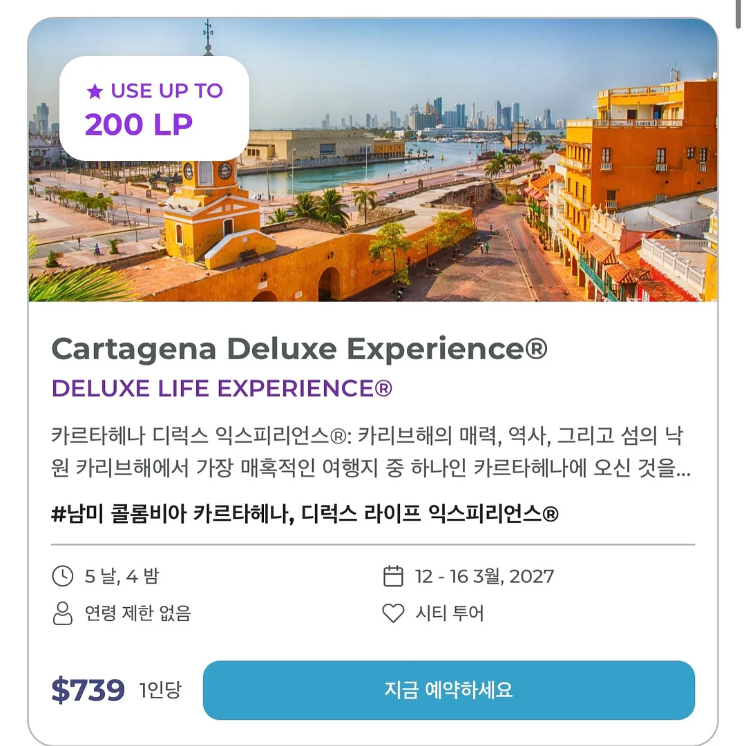 쫀쫀 나시 세트 5