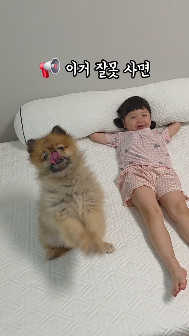 체크 남방