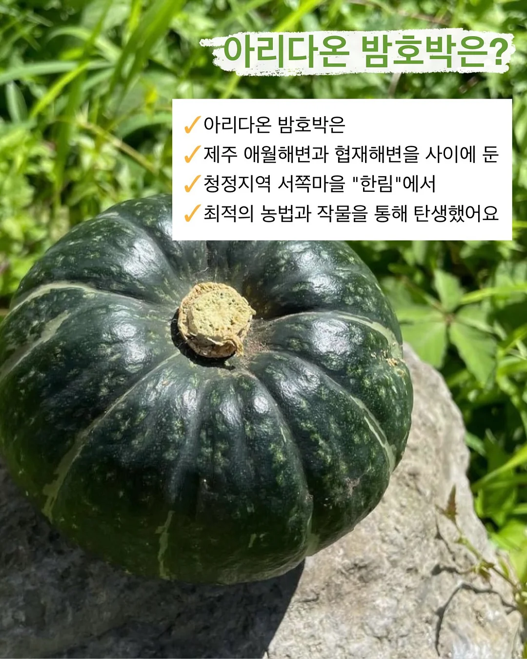 구제 데님 4