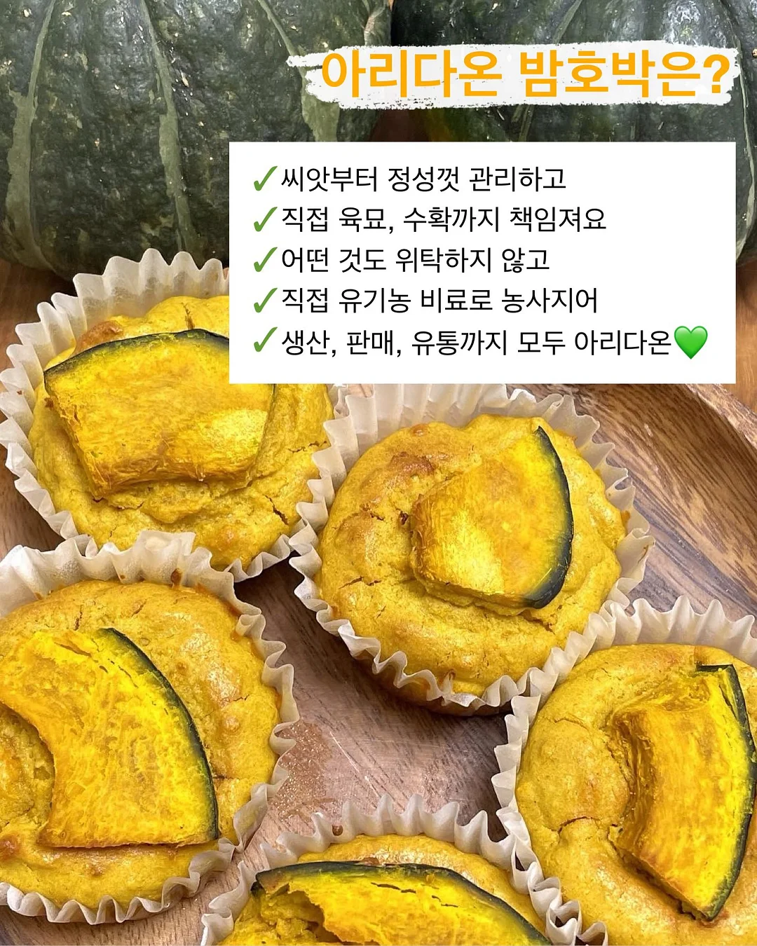 구제 데님 5