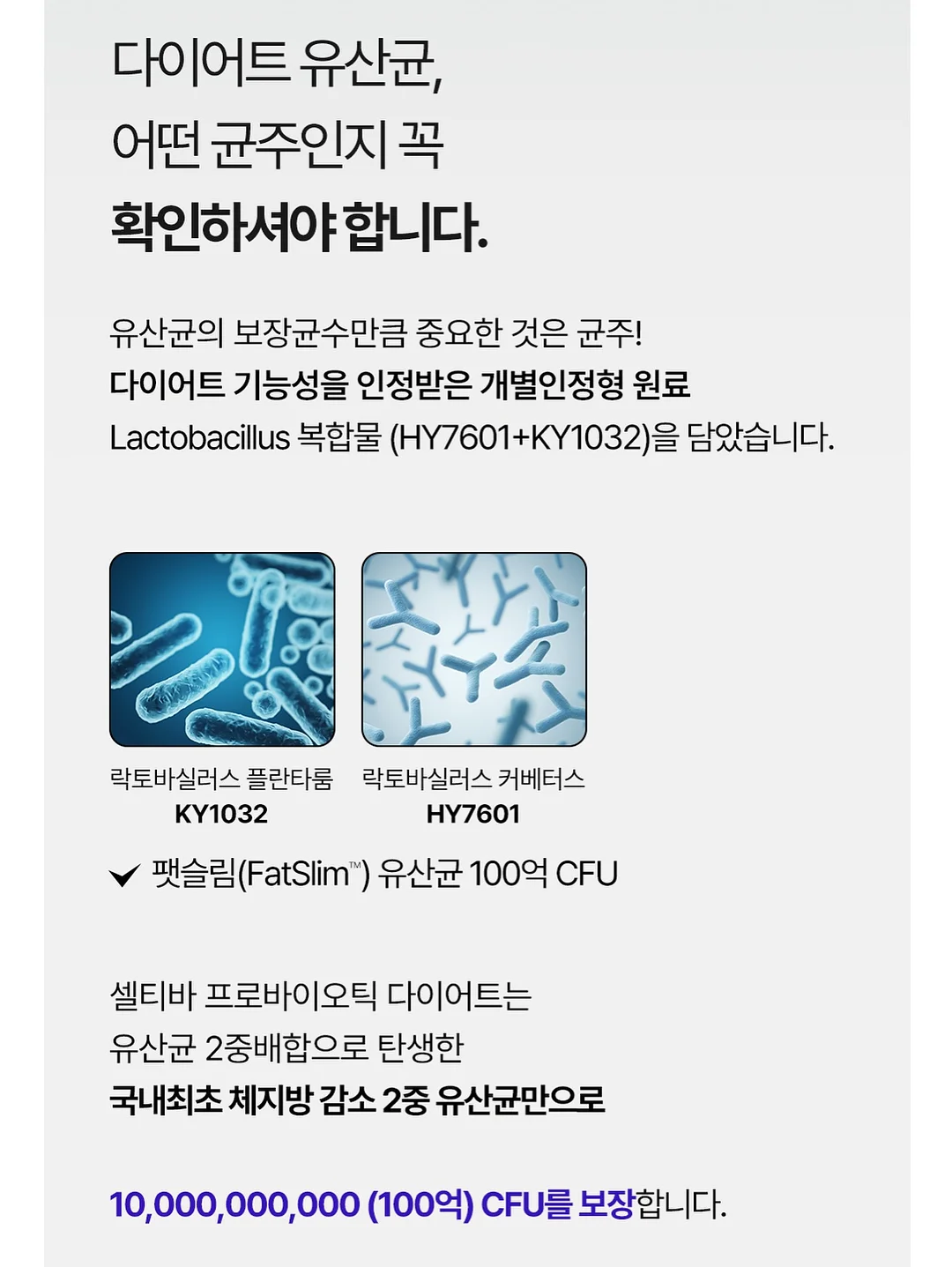 우아한김 5