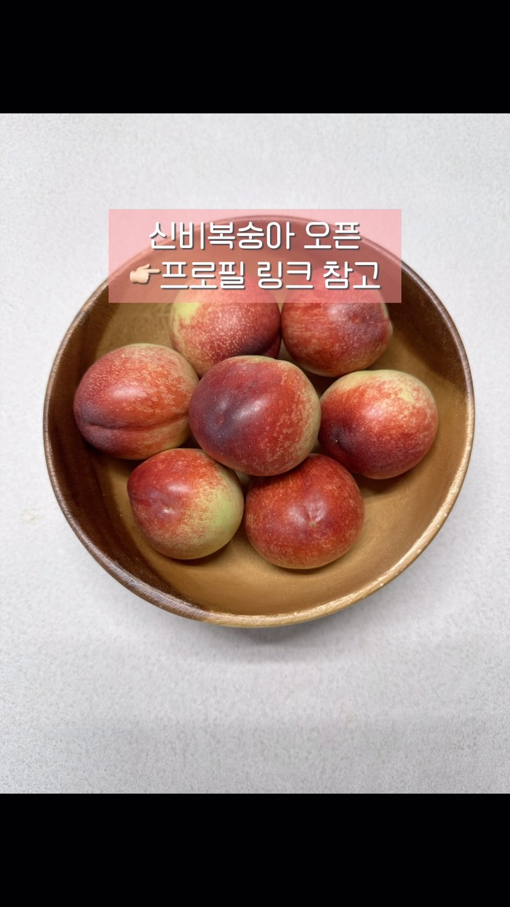 행복한 꿀벌 콜레트