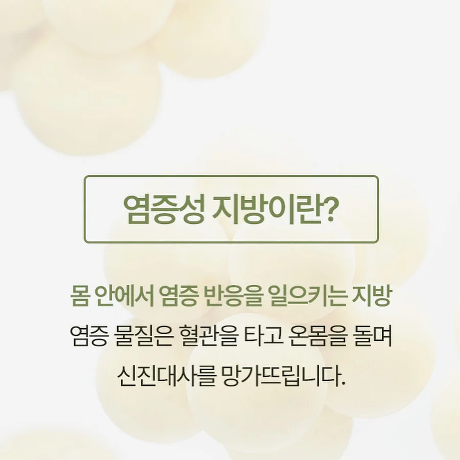 게스 여름 캠페인 의류 4