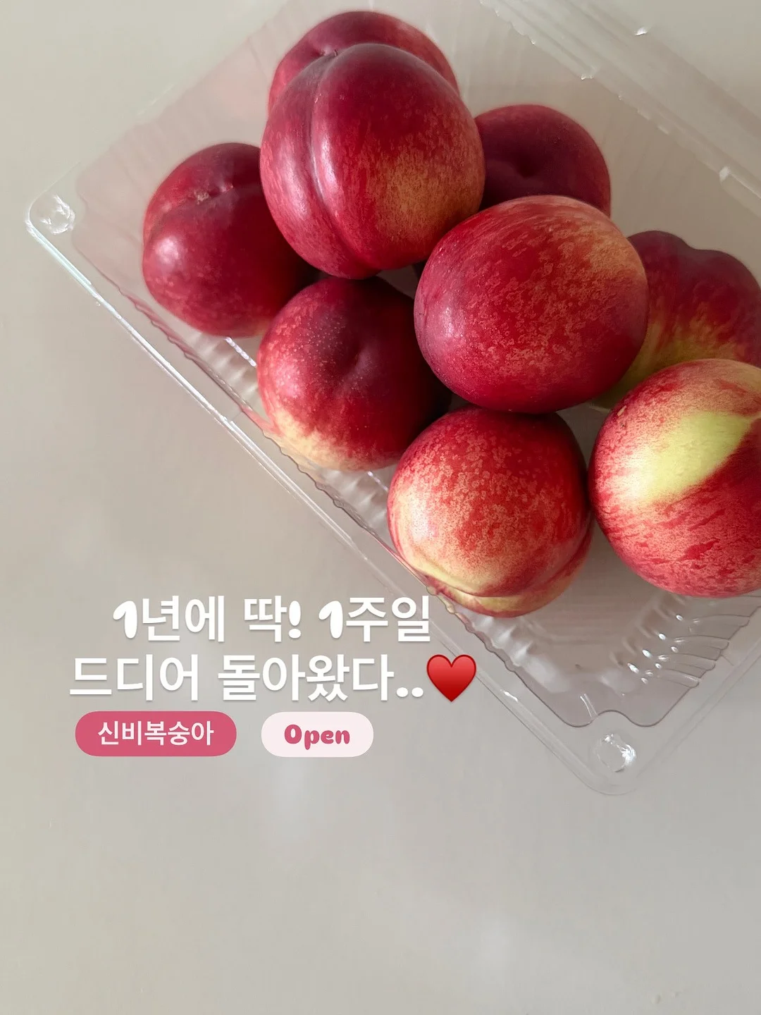 오승민 작가 <밤의 공작새> 1