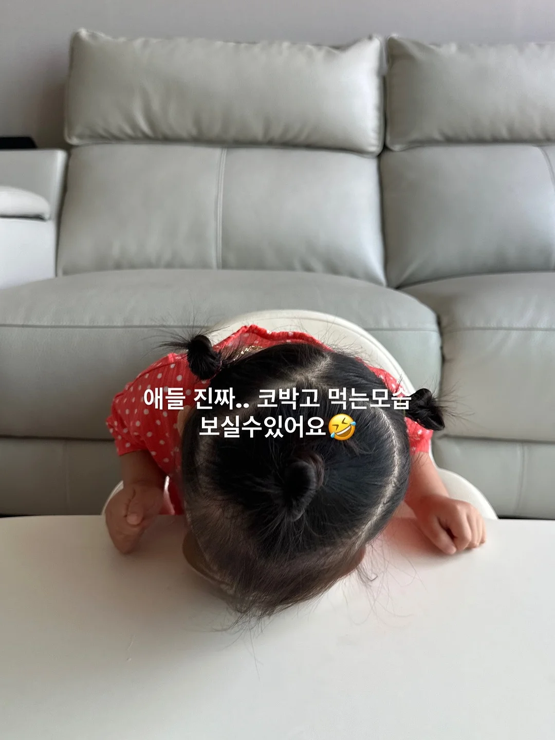 오승민 작가 <밤의 공작새> 12