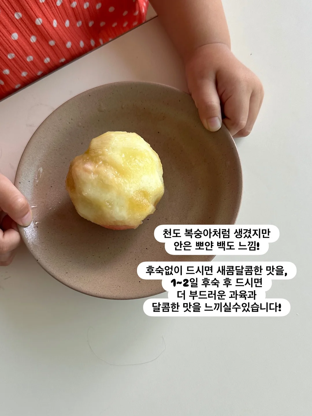오승민 작가 <밤의 공작새> 3