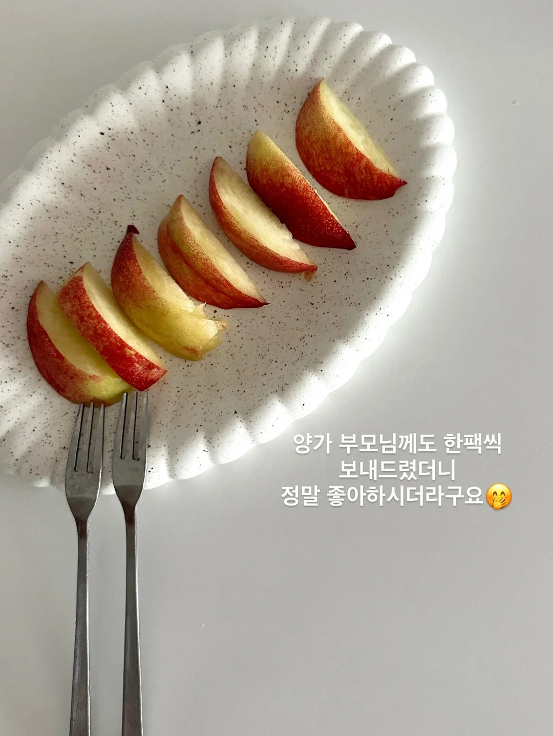 오승민 작가 <밤의 공작새> 5