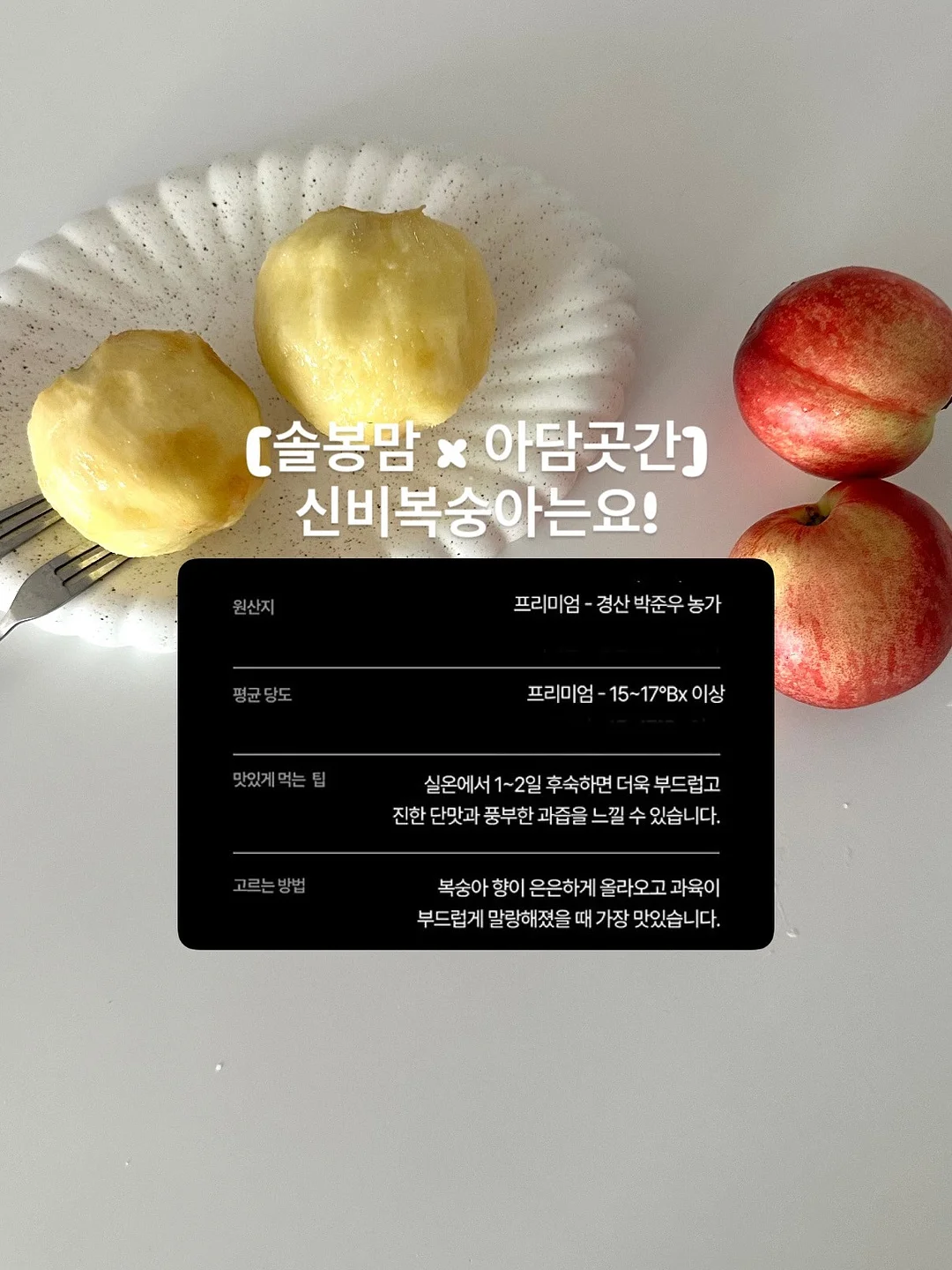 오승민 작가 <밤의 공작새> 7