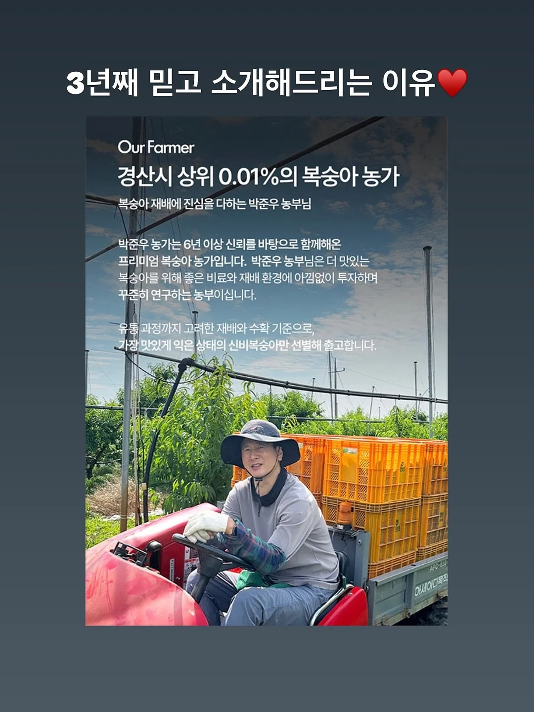 오승민 작가 <밤의 공작새> 8
