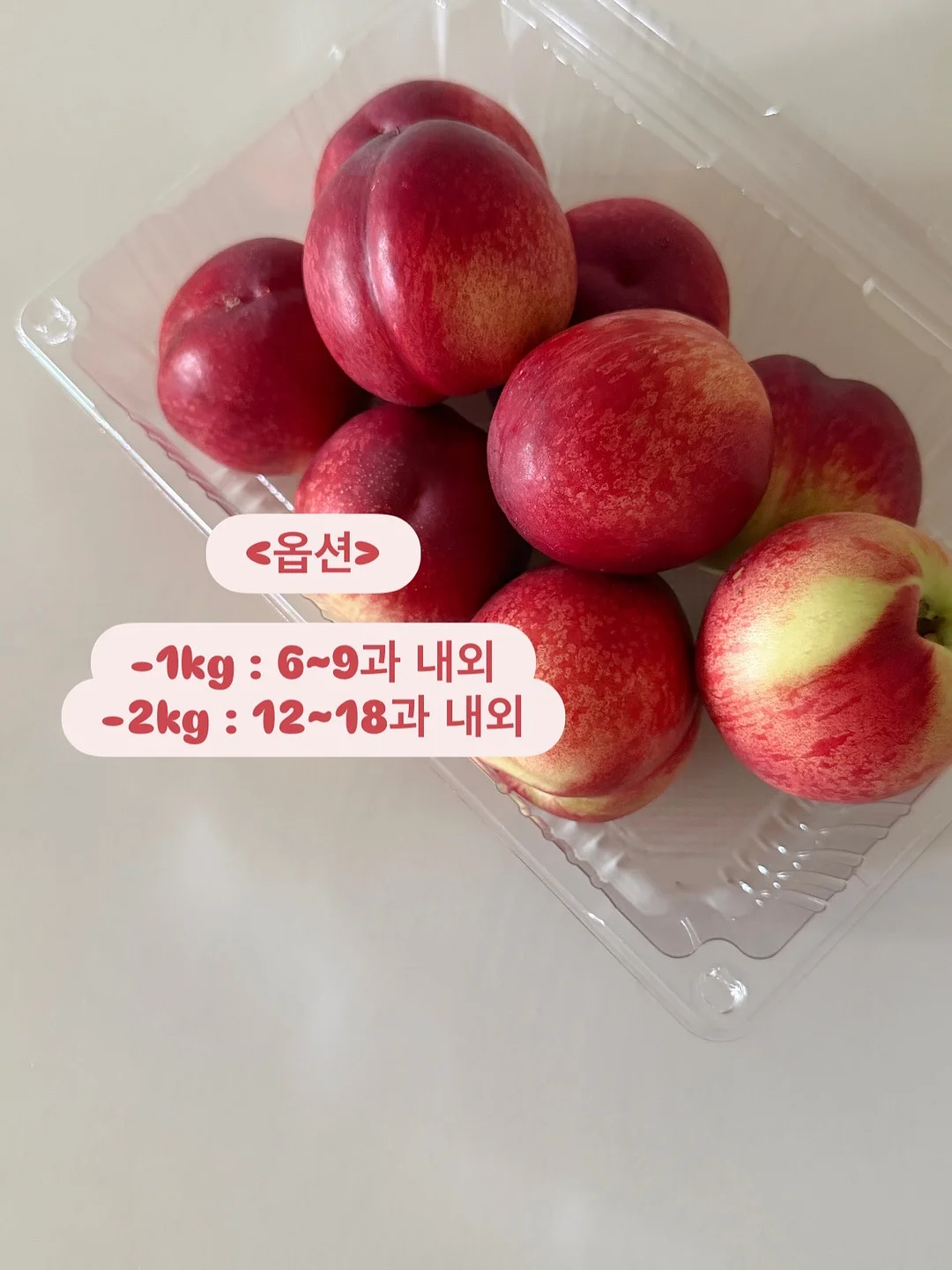 오승민 작가 <밤의 공작새> 10
