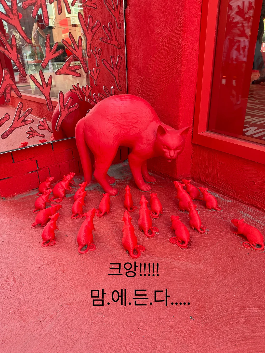 쿨러 14