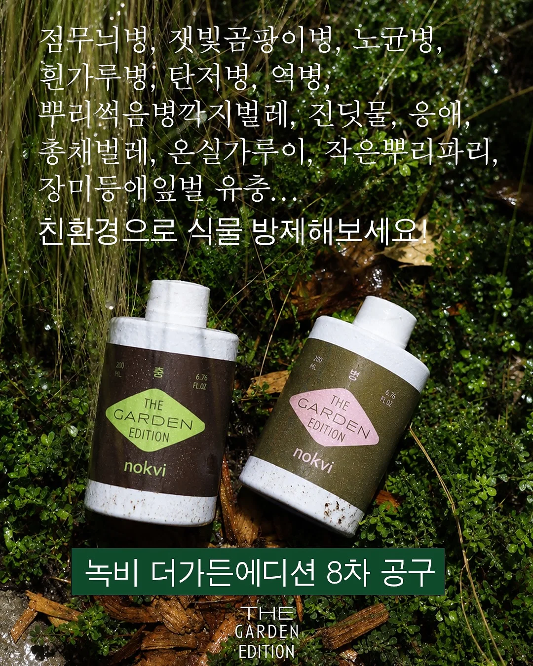 피그러브원숄더T 1