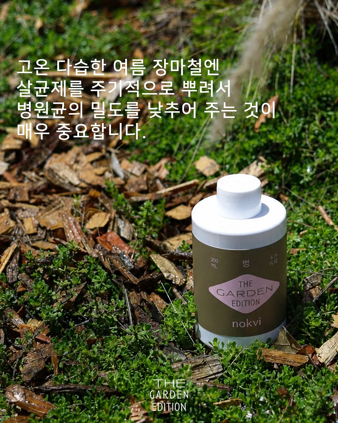 피그러브원숄더T 11