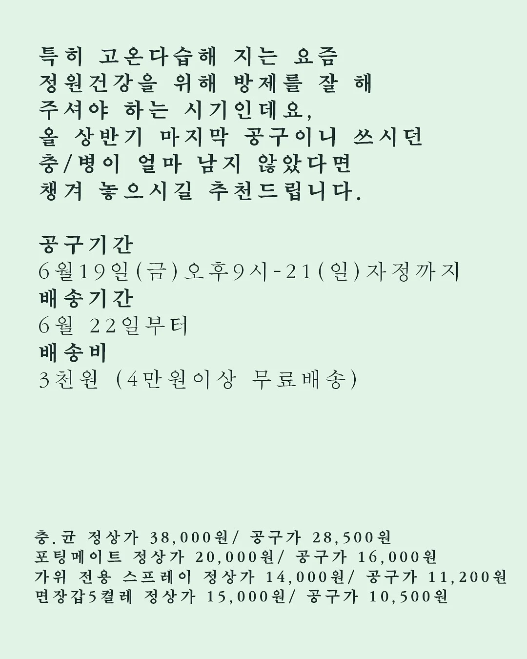 피그러브원숄더T 4