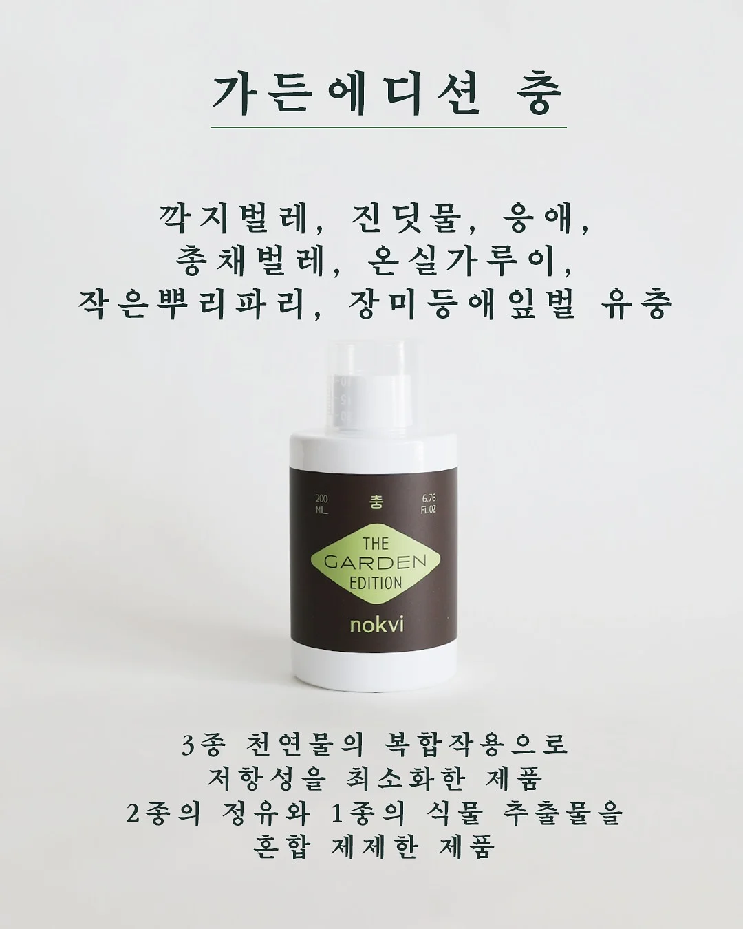피그러브원숄더T 5