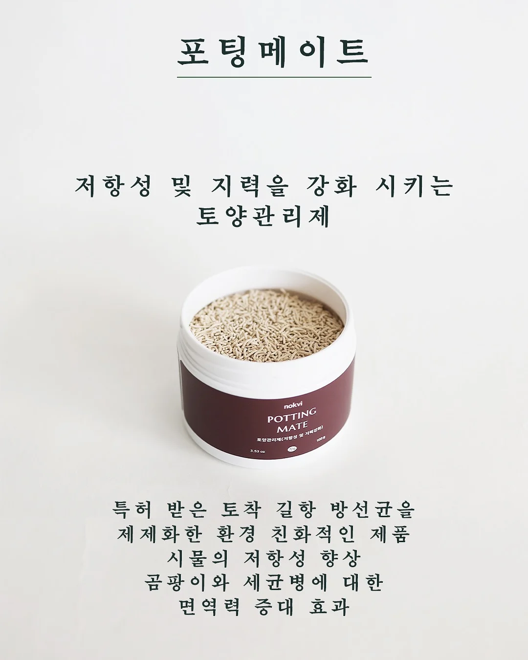 피그러브원숄더T 8
