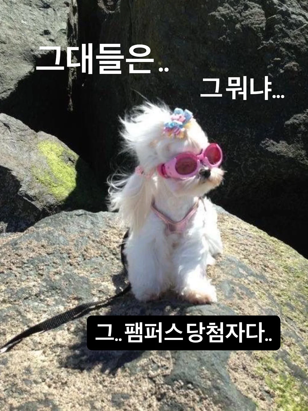 프리타타 1