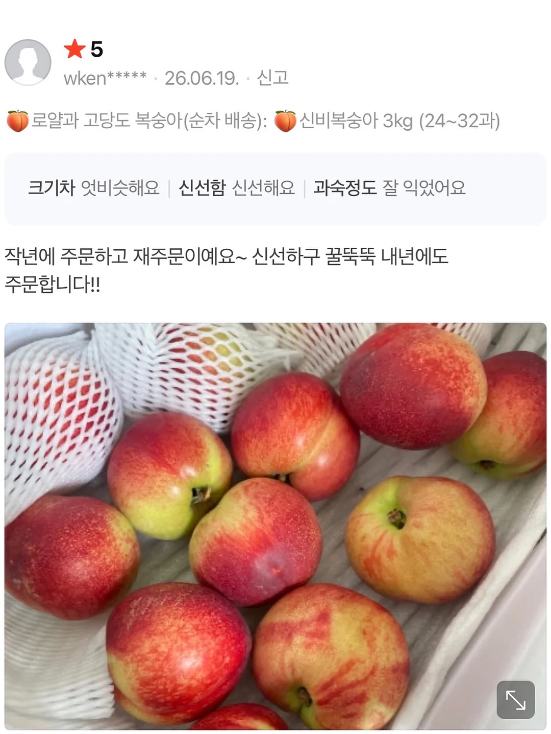라면 5
