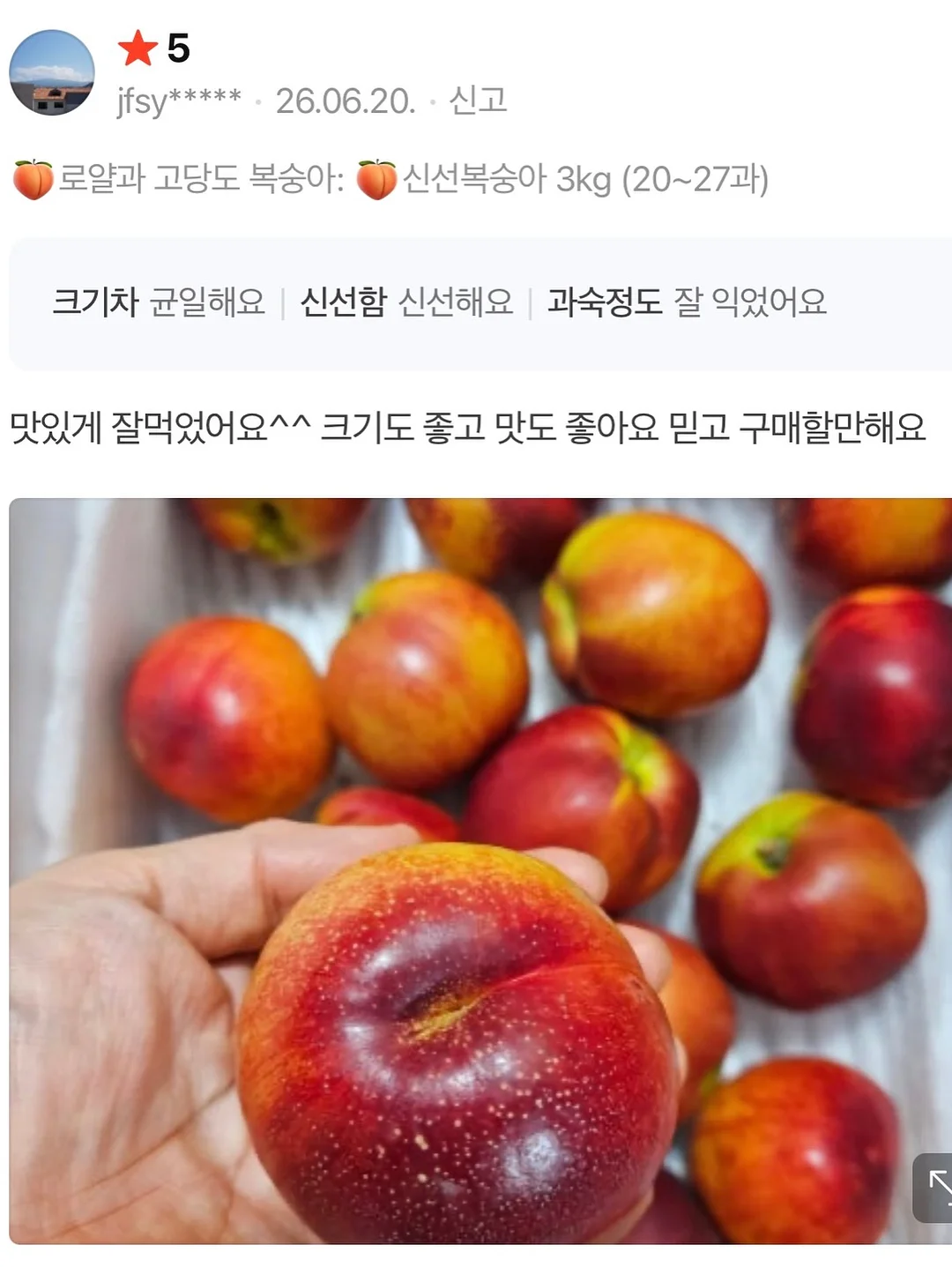 라면 6