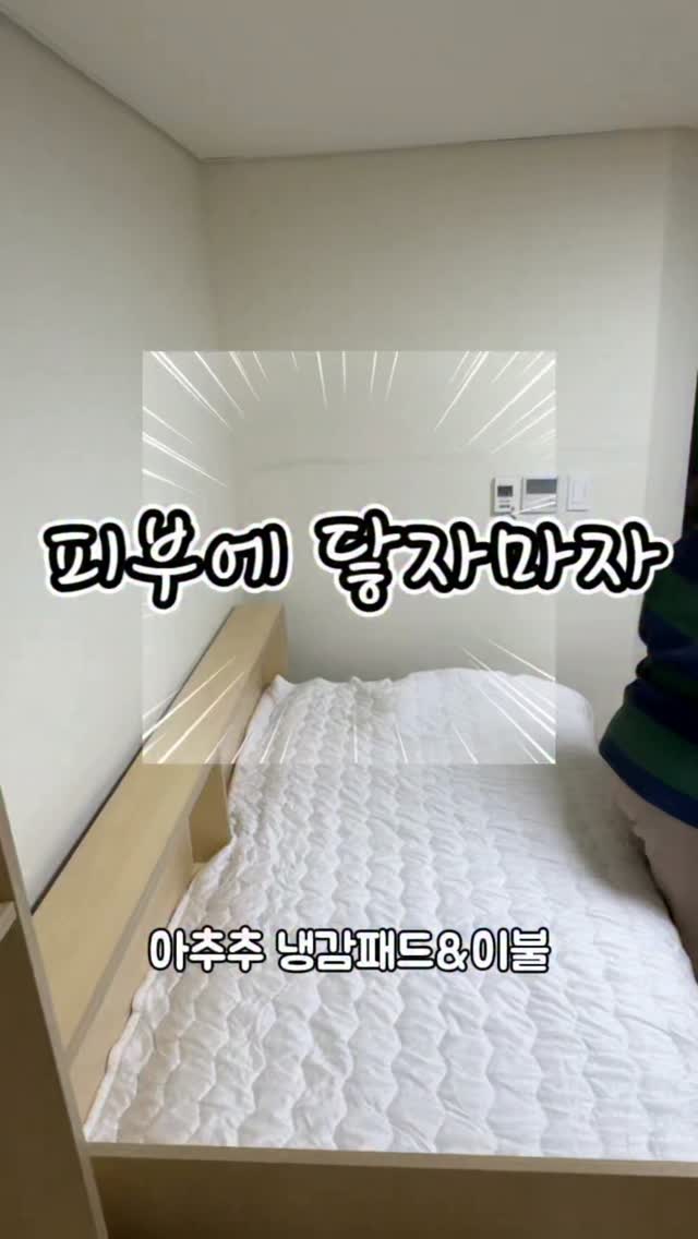 닥터체크 빌루아
